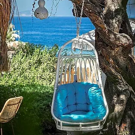 Misket Bodrum 3*